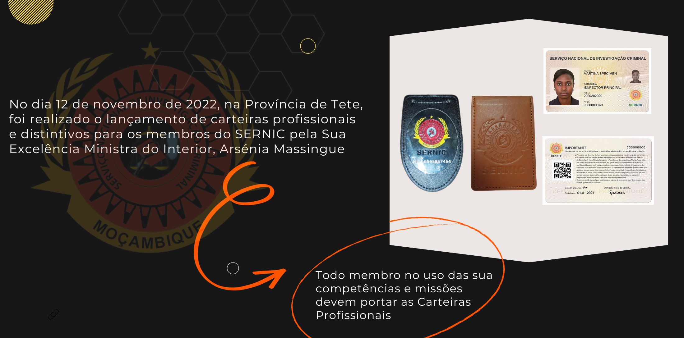 carteiras_profissionais.jpg
